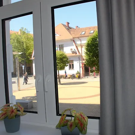 Mazvydo Apartment Klaipeda